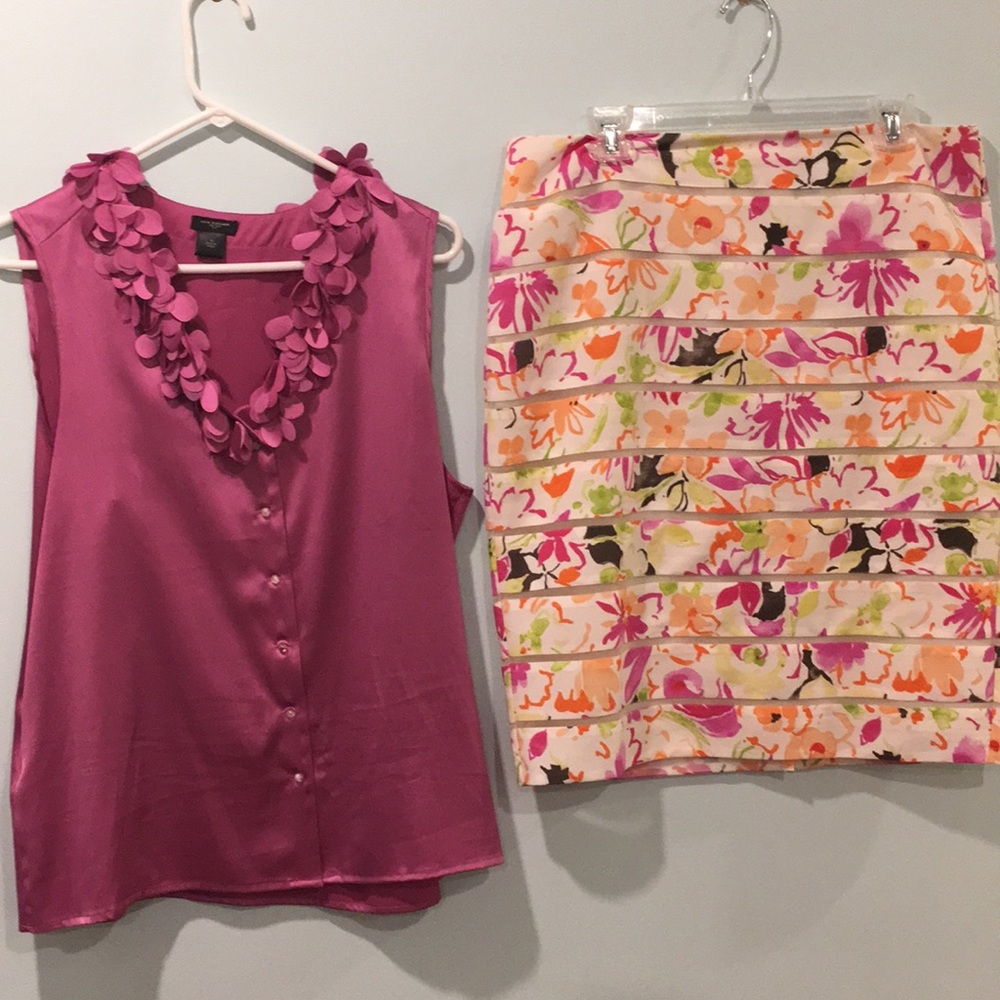 Ann Taylor skirt outfit 12 euc